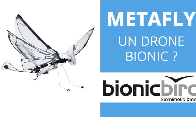 METAFLY BIONICBIRD : Je teste un drone biomimétique !